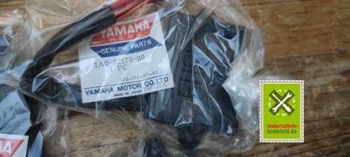 IMG_20230824_130605